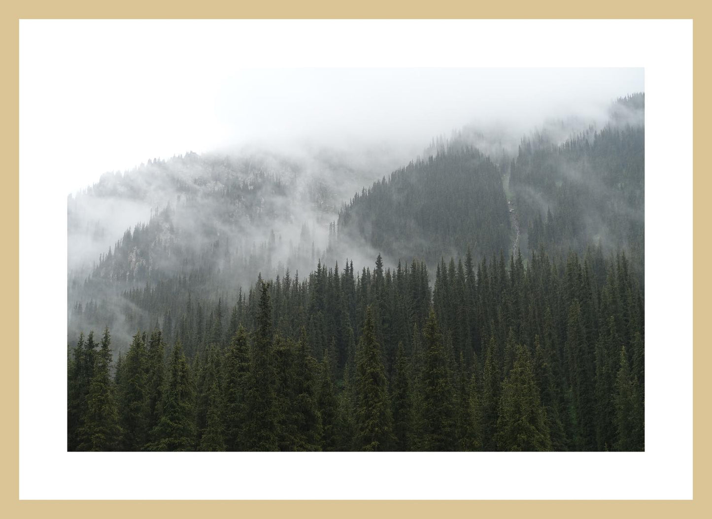 In the misty mountains of the Terskey Alatau Range (Issyk-Kul, June 2018) Framed Art Print