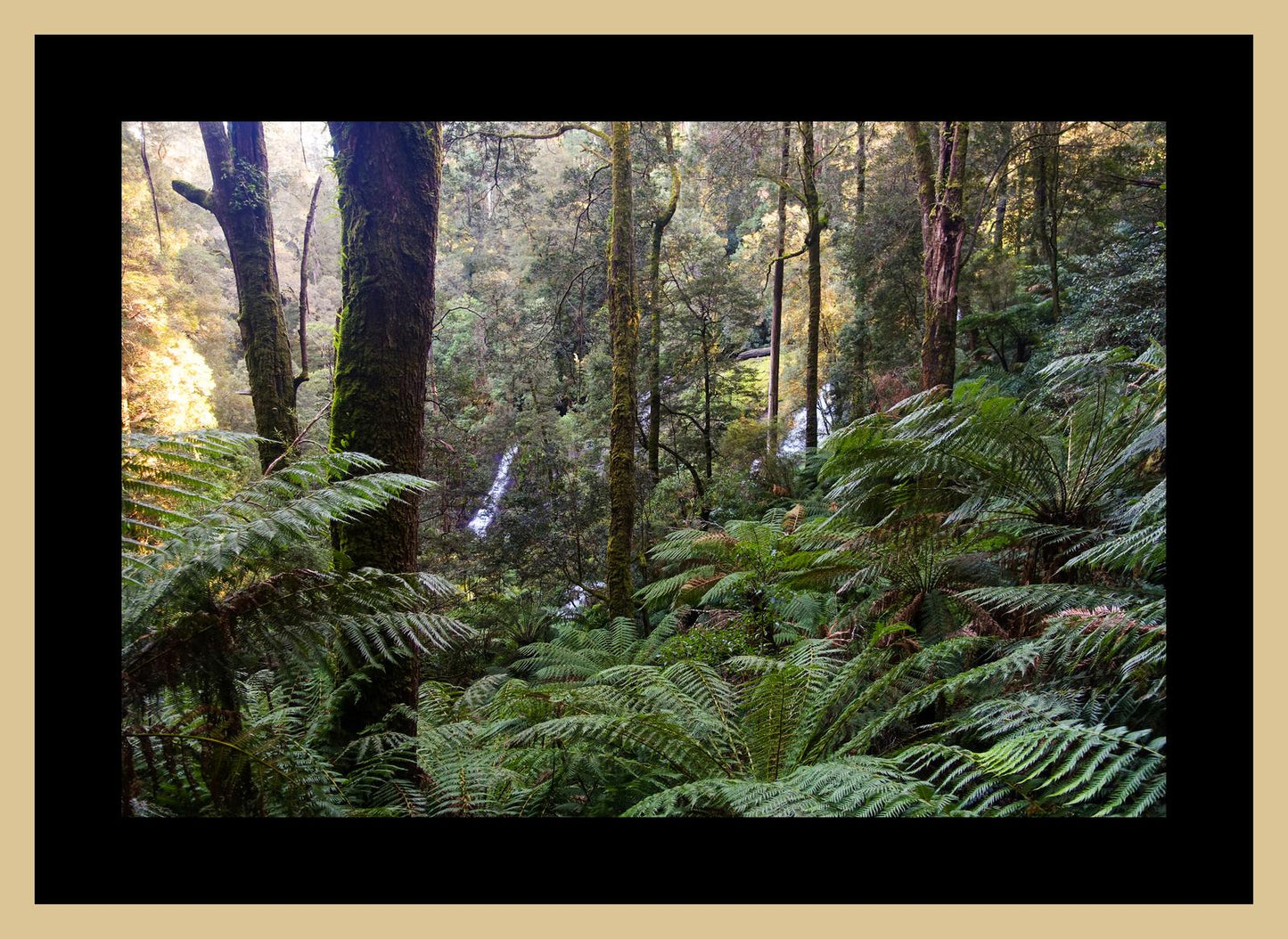 Triplet Falls (Great Otway National Park, May 2022) Framed Art Print