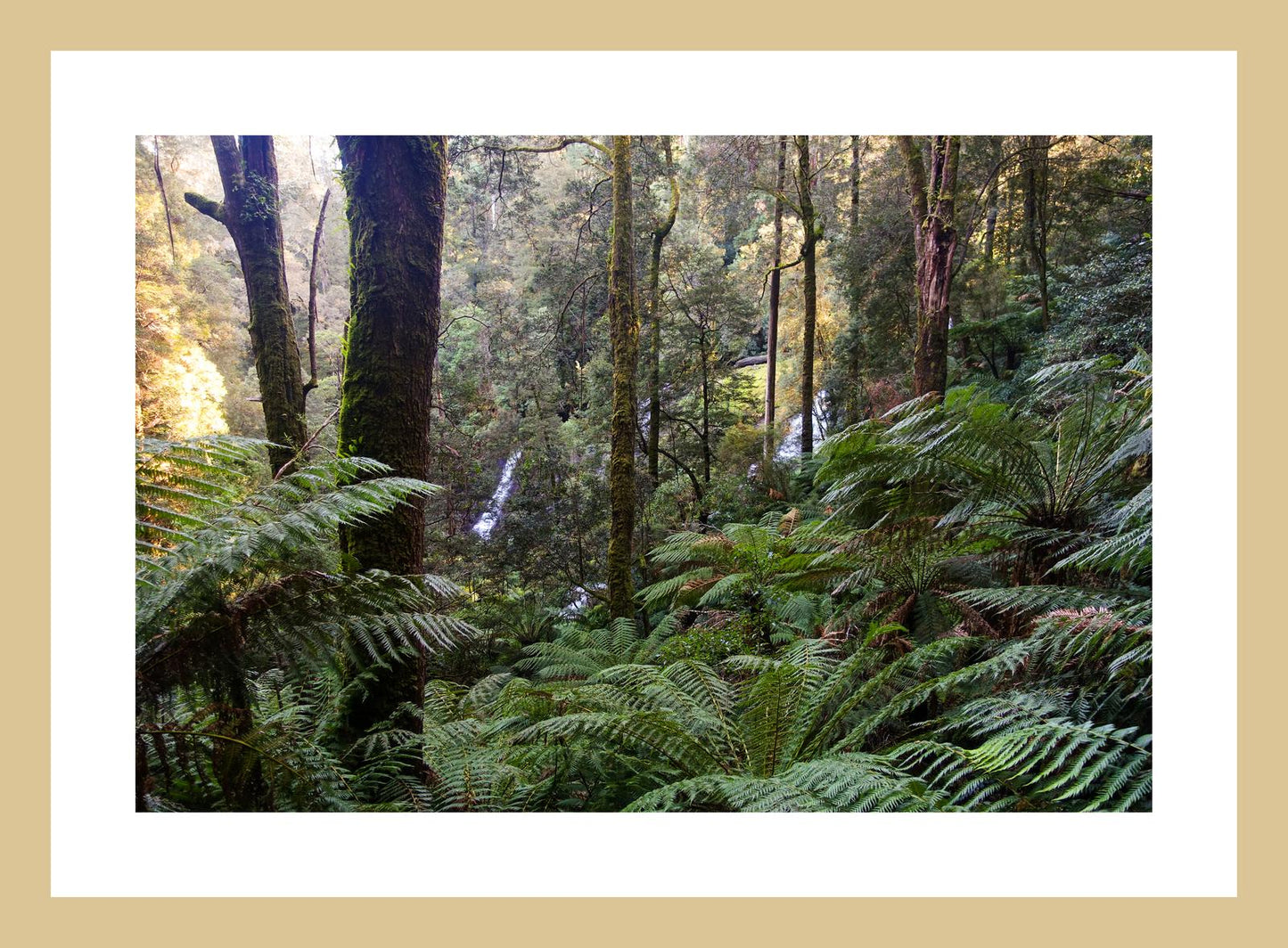 Triplet Falls (Great Otway National Park, May 2022) Framed Art Print