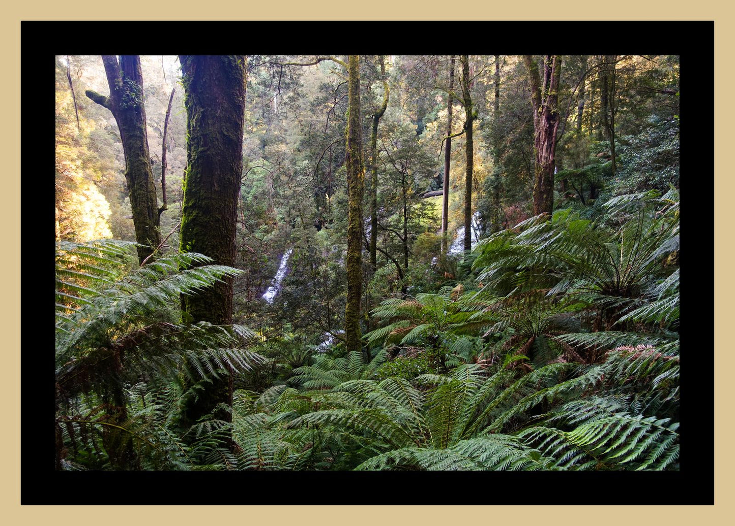 Triplet Falls (Great Otway National Park, May 2022) Framed Art Print