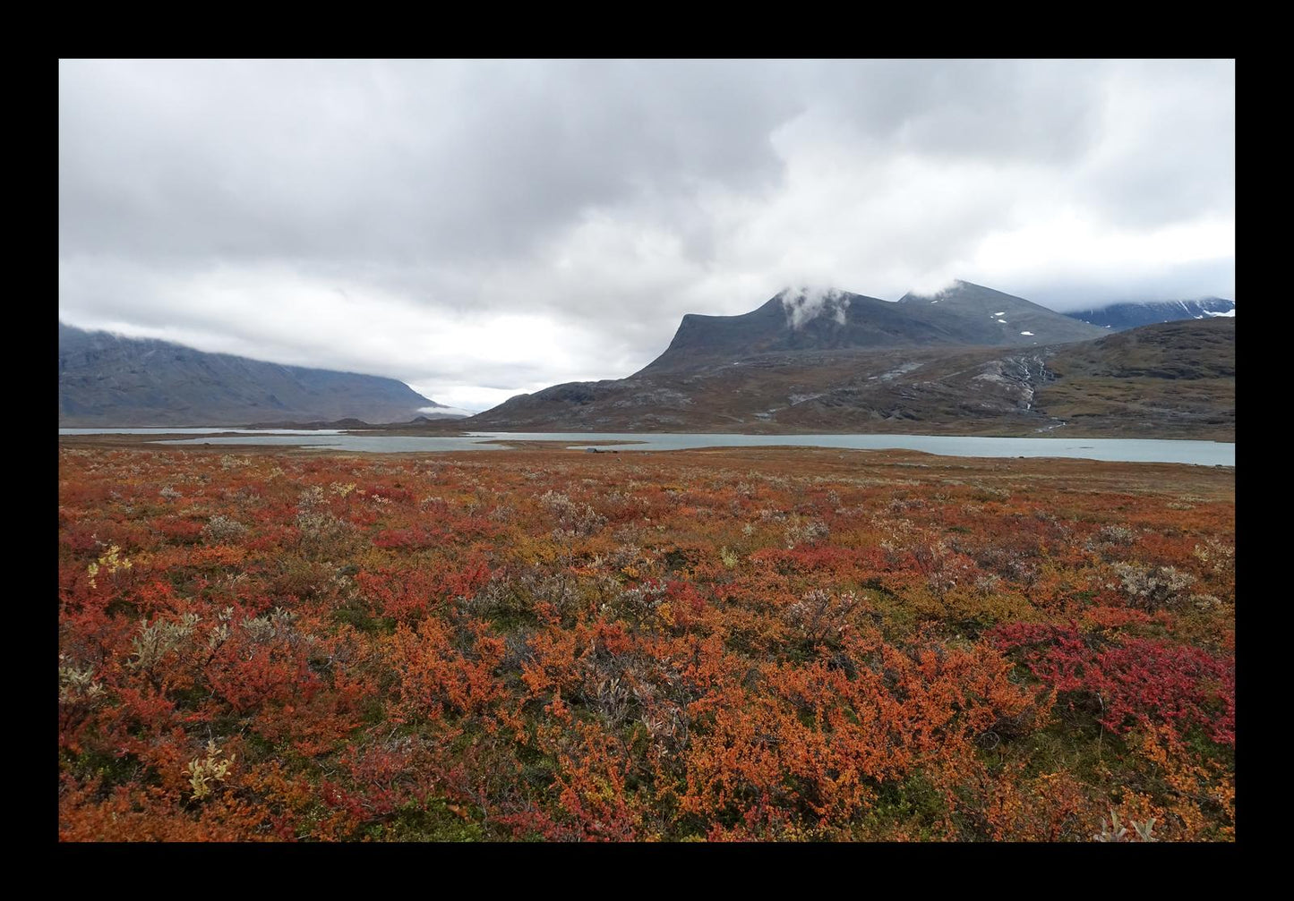 Fall colors and still waters (Swedish Lappland, September 2016) Framed Art Print