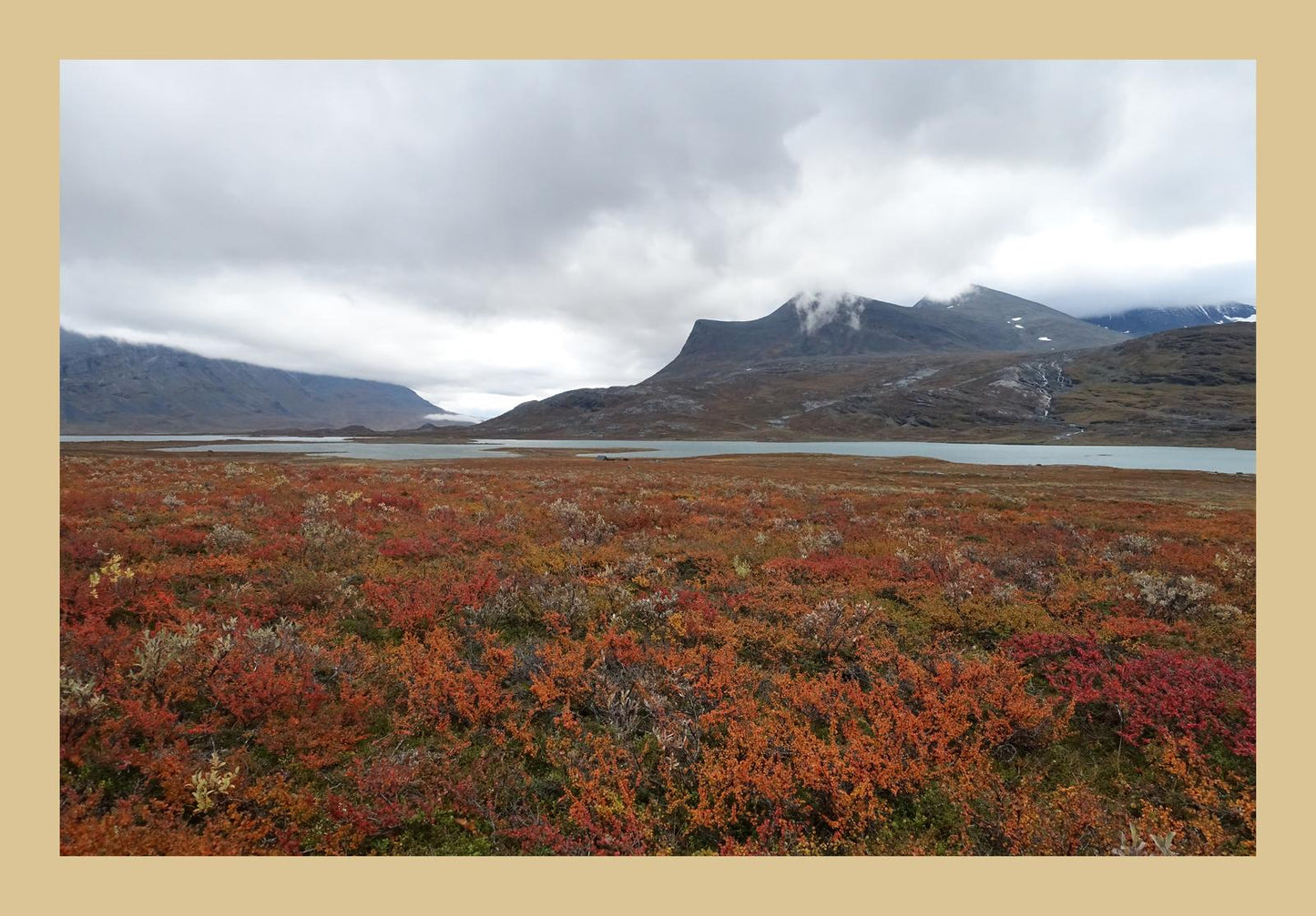Fall colors and still waters (Swedish Lappland, September 2016) Framed Art Print