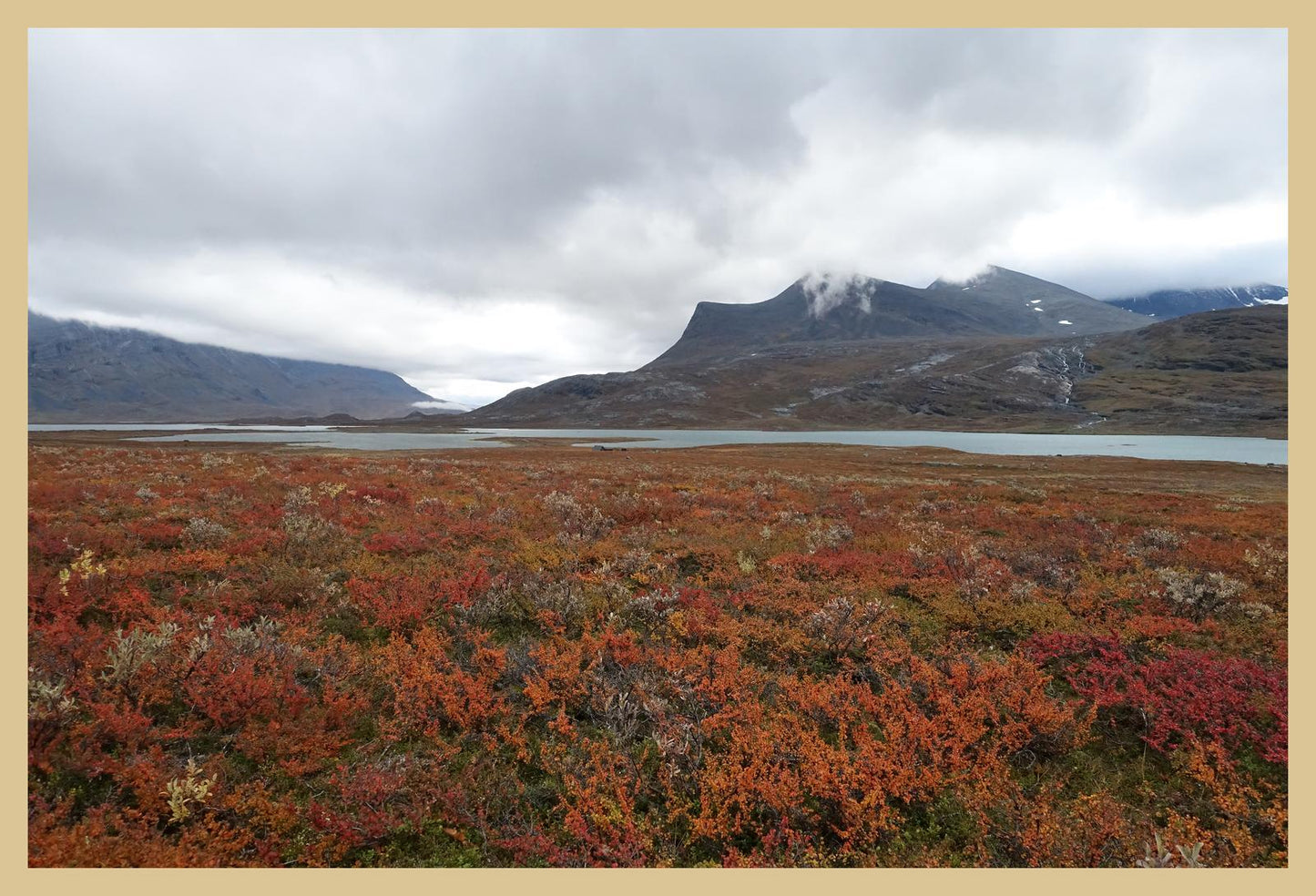 Fall colors and still waters (Swedish Lappland, September 2016) Framed Art Print
