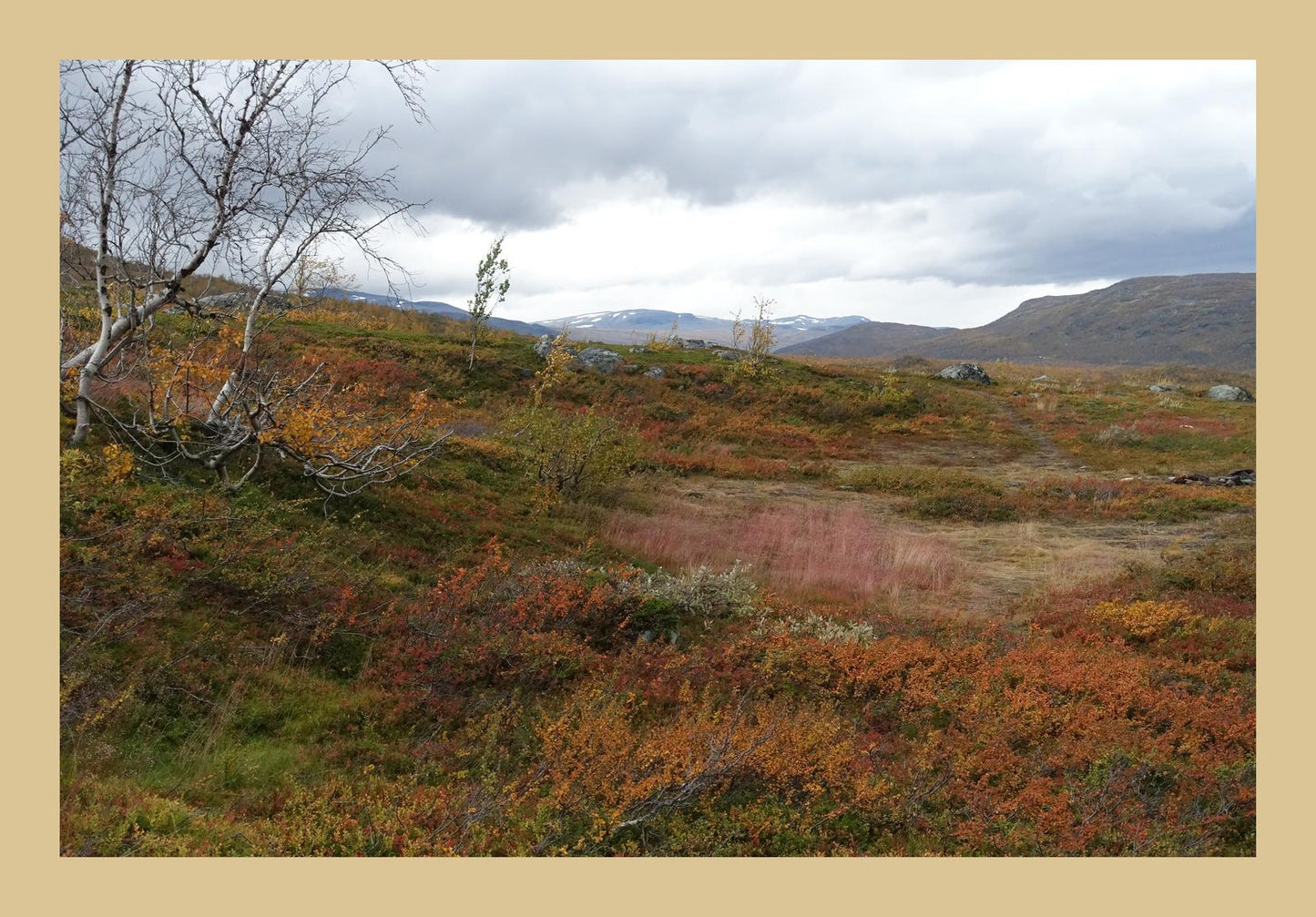 Autumn palette on the Kungsleden (Swedish Lappland, September 2016) Framed Art Print