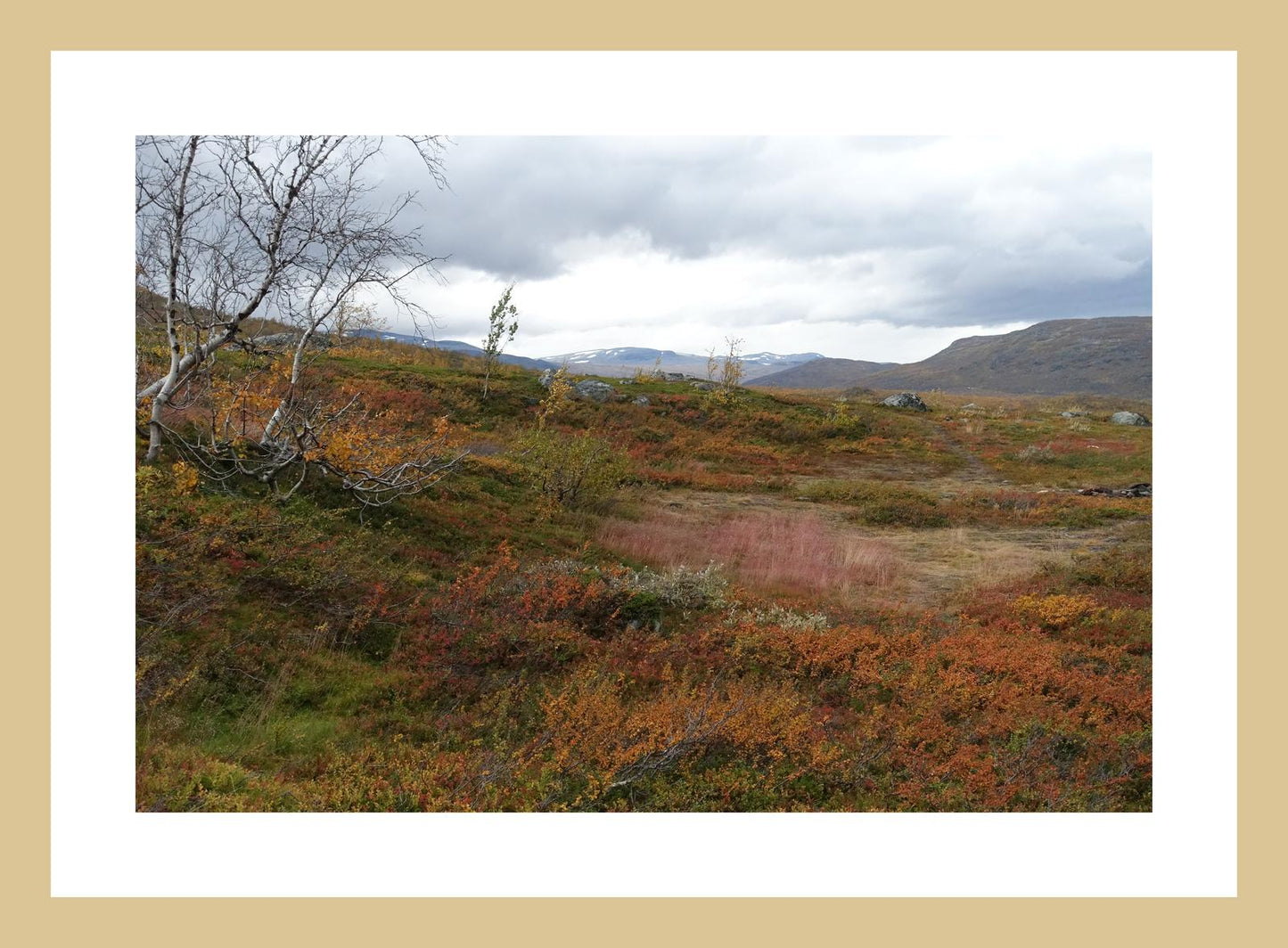 Autumn palette on the Kungsleden (Swedish Lappland, September 2016) Framed Art Print