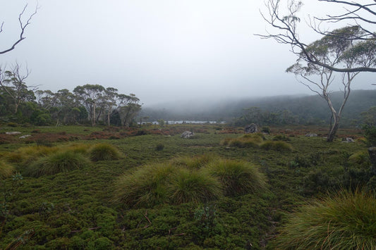 The banks of Lake Windermere (Tasmania, May 2019) Framed Art Print