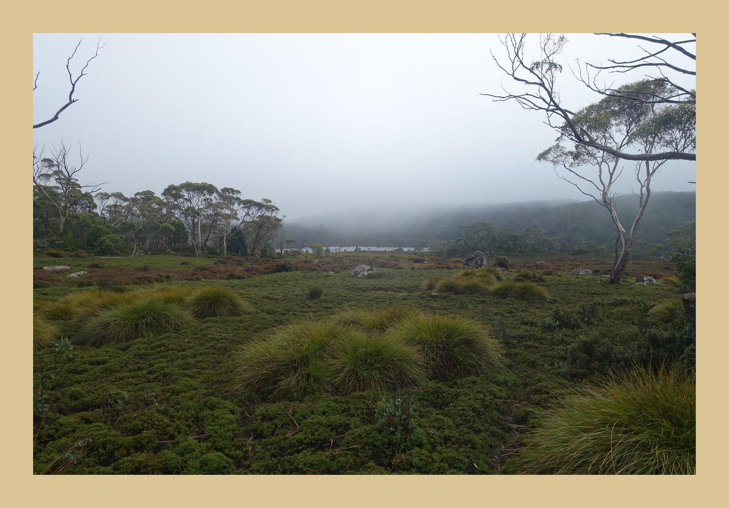 The banks of Lake Windermere (Tasmania, May 2019) Framed Art Print