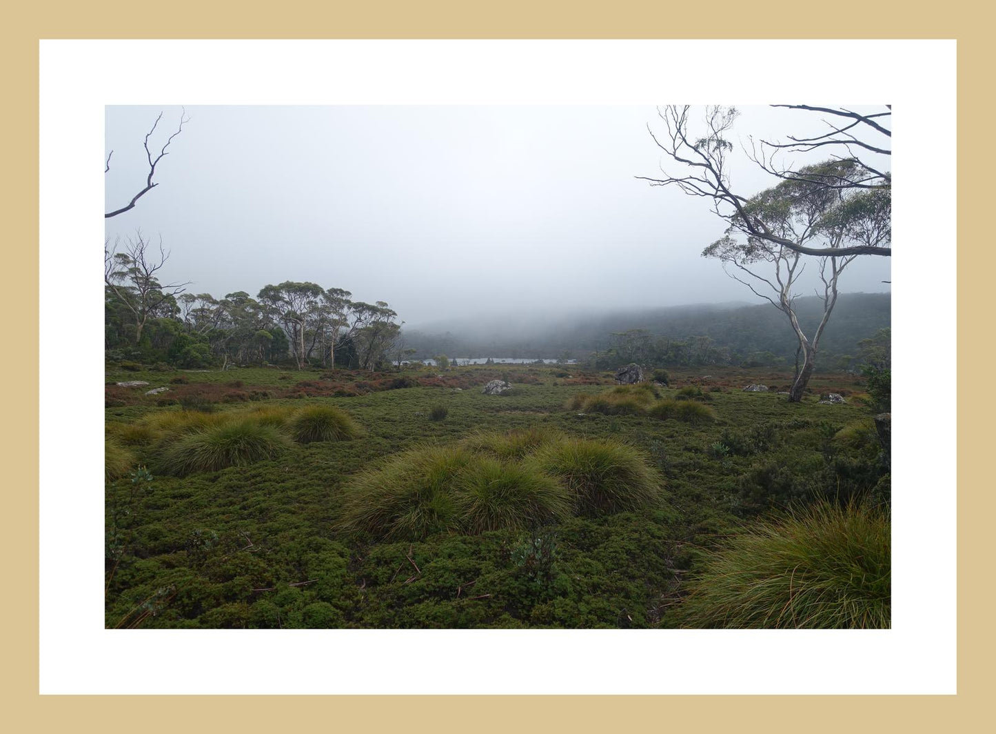 The banks of Lake Windermere (Tasmania, May 2019) Framed Art Print