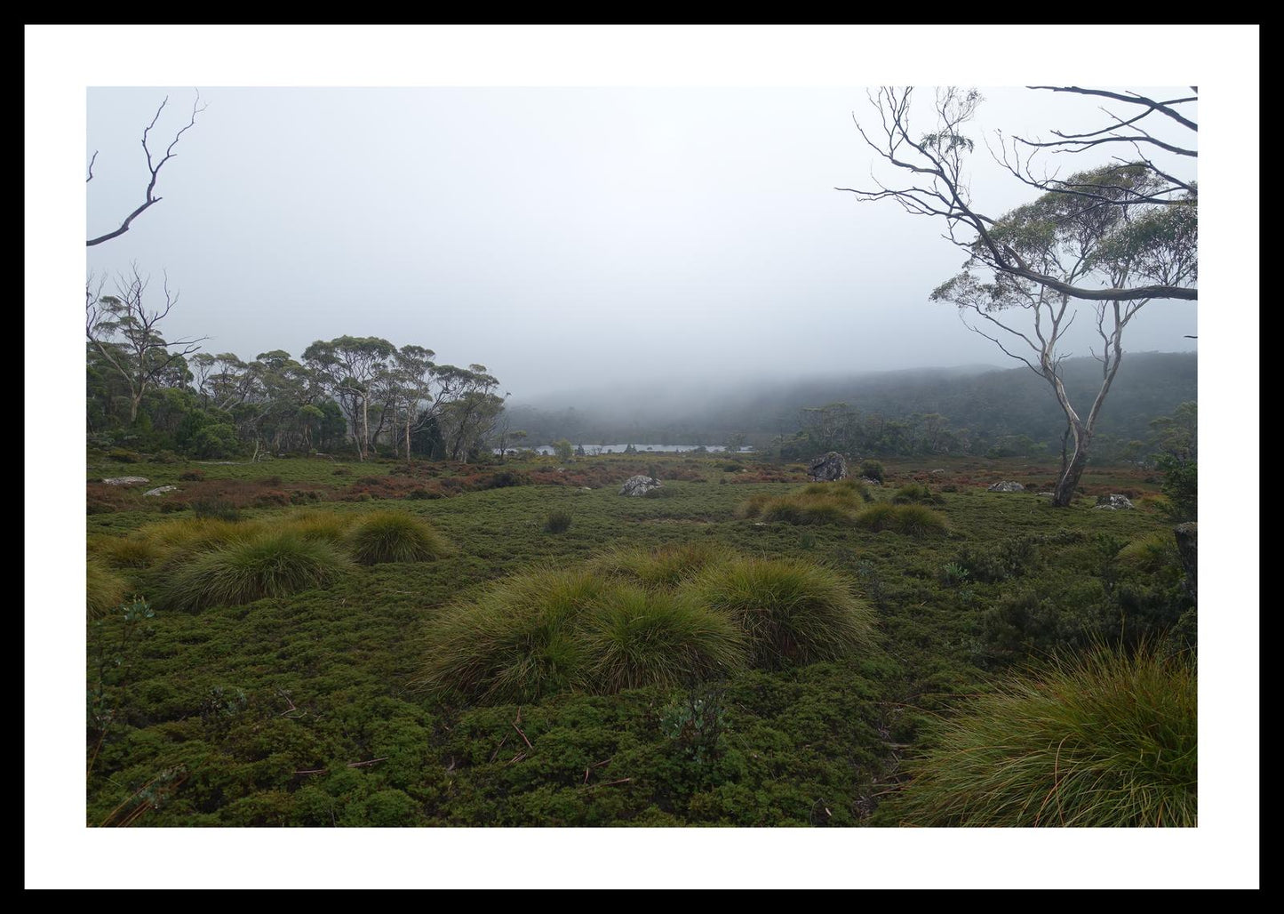 The banks of Lake Windermere (Tasmania, May 2019) Framed Art Print