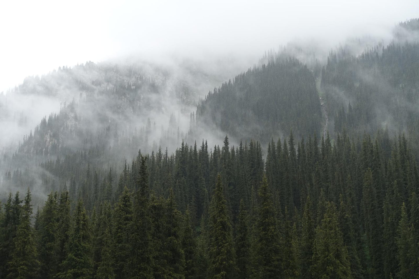 In the misty mountains of the Terskey Alatau Range (Issyk-Kul, June 2018) Framed Art Print