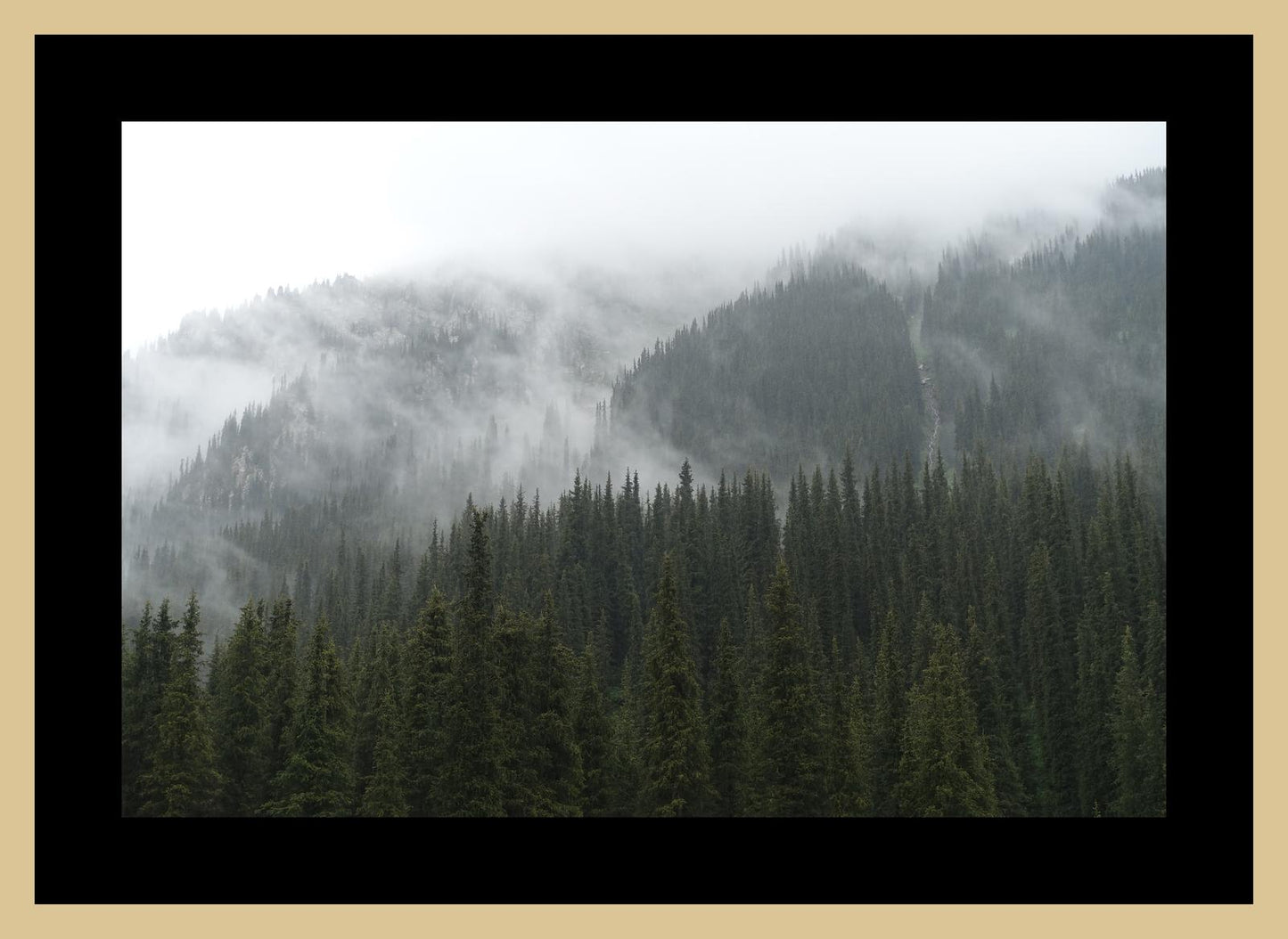 In the misty mountains of the Terskey Alatau Range (Issyk-Kul, June 2018) Framed Art Print