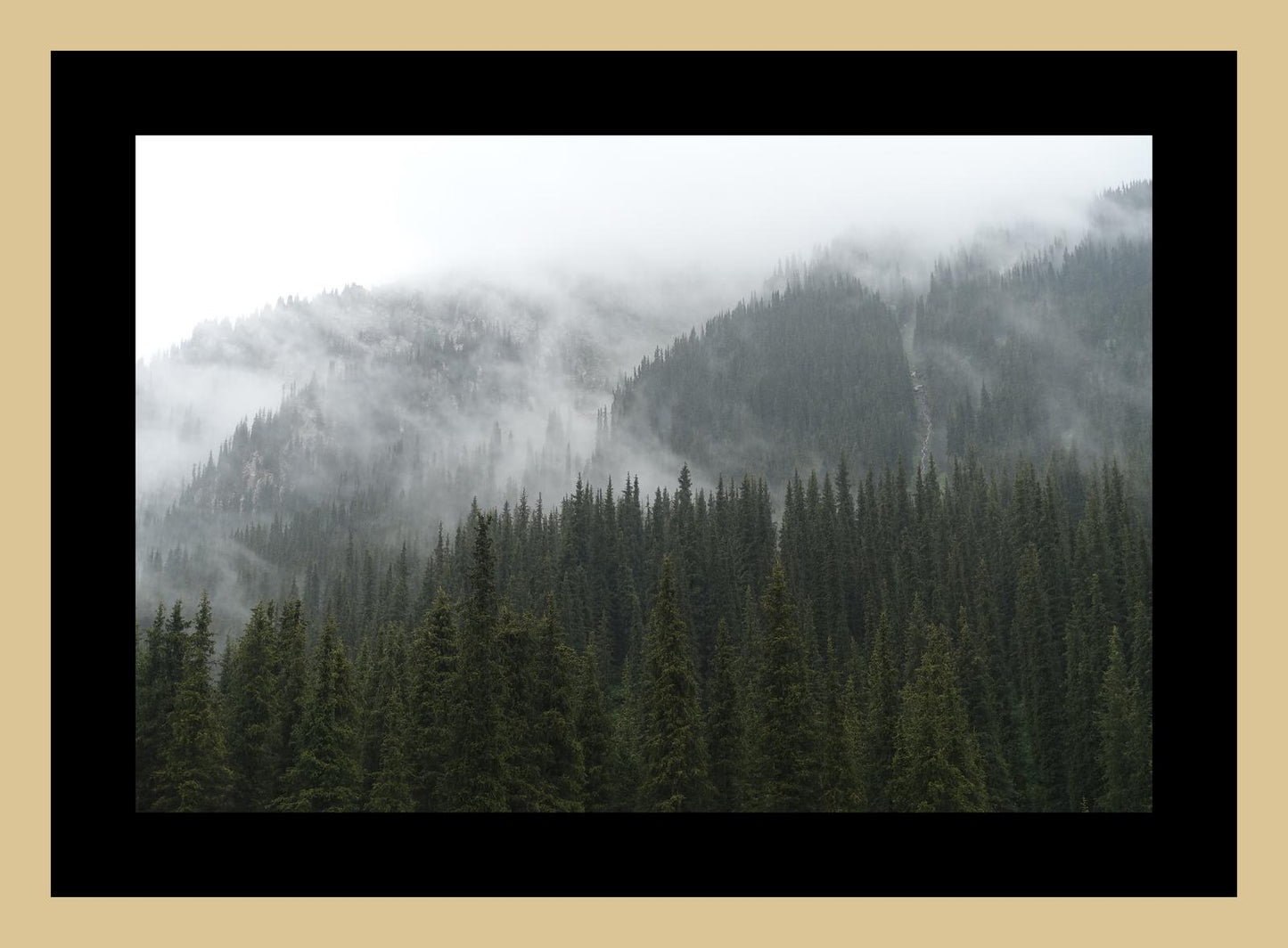 In the misty mountains of the Terskey Alatau Range (Issyk-Kul, June 2018) Framed Art Print