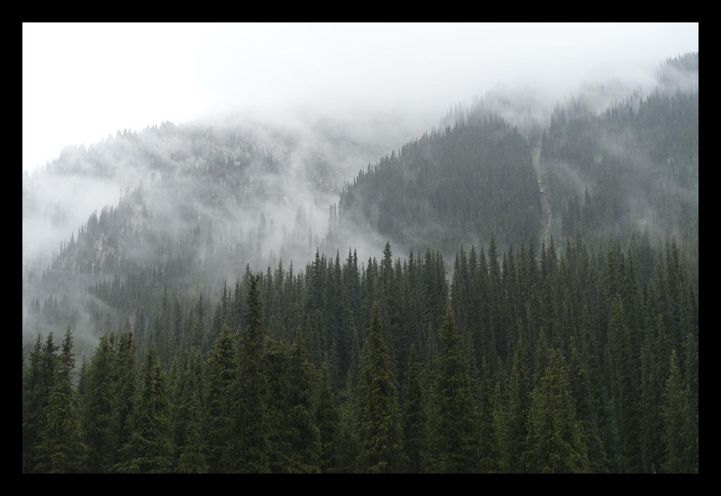 In the misty mountains of the Terskey Alatau Range (Issyk-Kul, June 2018) Framed Art Print