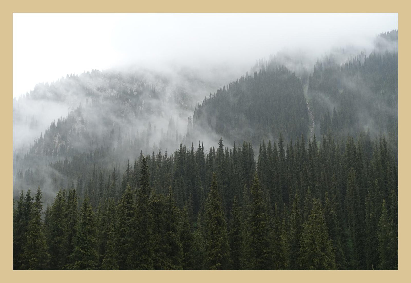 In the misty mountains of the Terskey Alatau Range (Issyk-Kul, June 2018) Framed Art Print