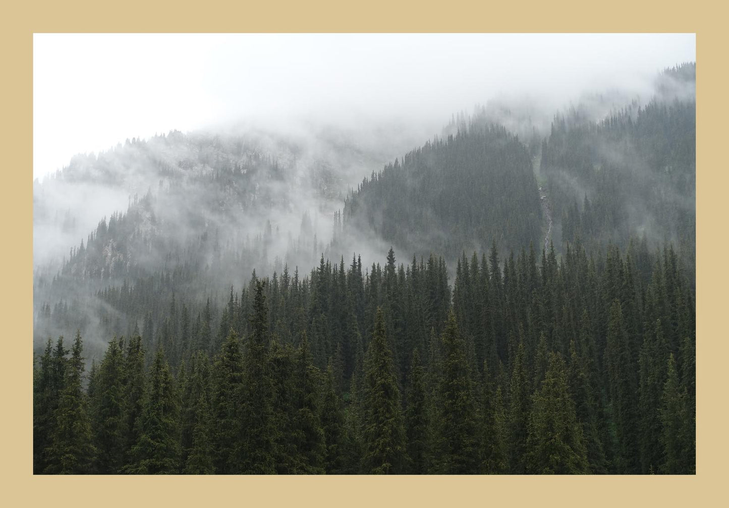 In the misty mountains of the Terskey Alatau Range (Issyk-Kul, June 2018) Framed Art Print