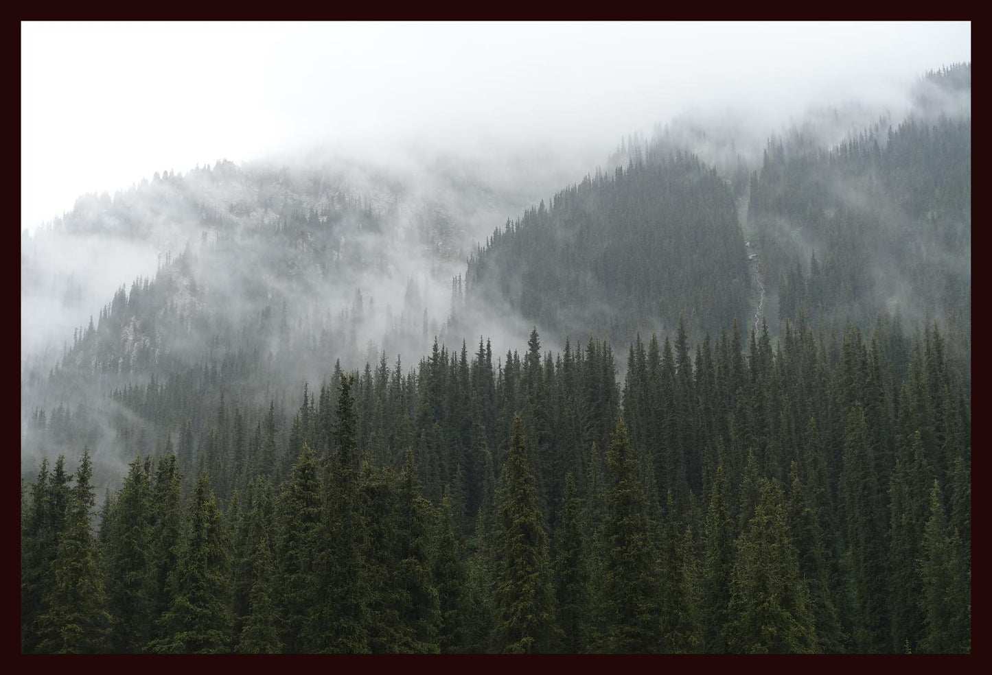 In the misty mountains of the Terskey Alatau Range (Issyk-Kul, June 2018) Framed Art Print