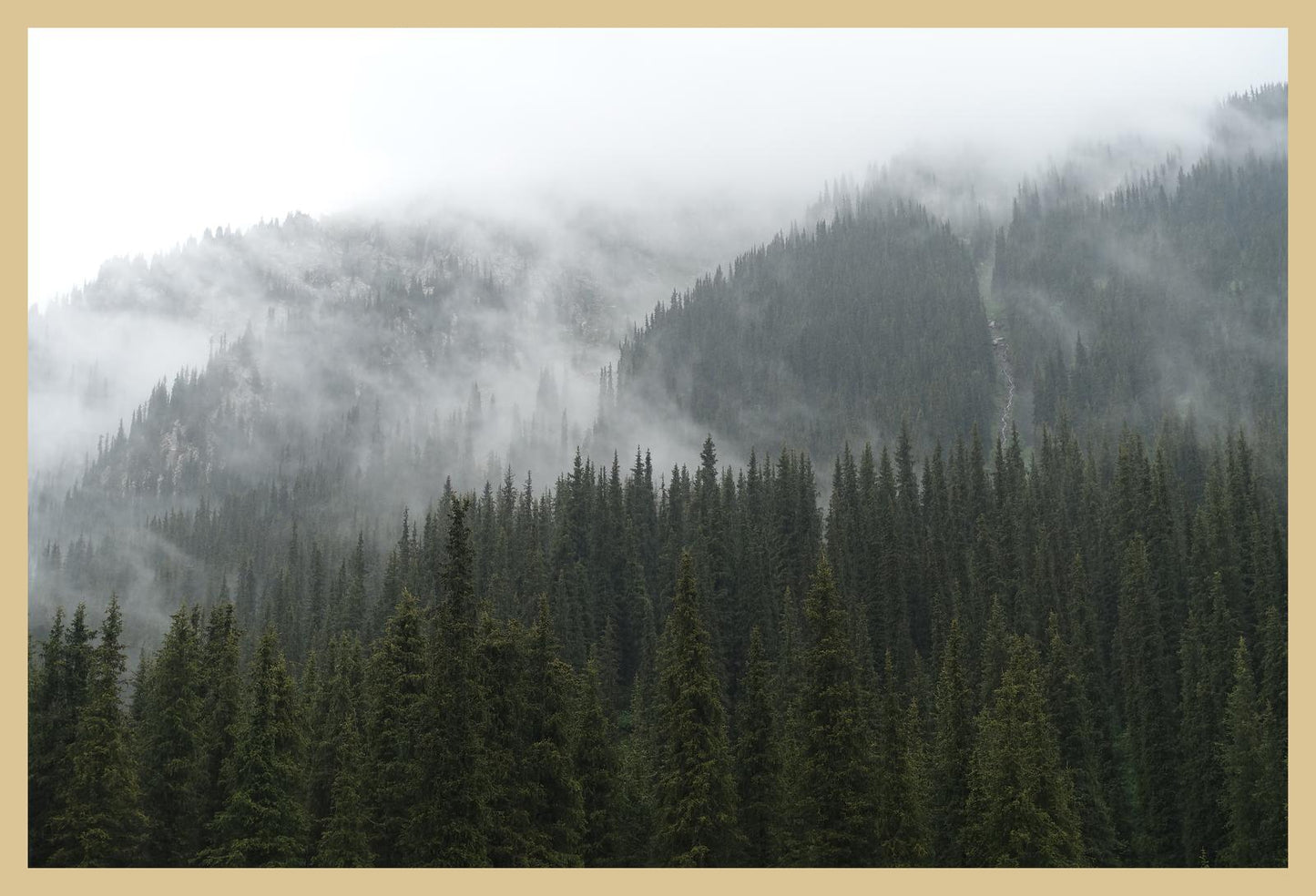 In the misty mountains of the Terskey Alatau Range (Issyk-Kul, June 2018) Framed Art Print