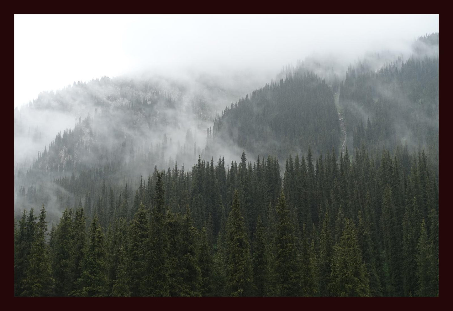 In the misty mountains of the Terskey Alatau Range (Issyk-Kul, June 2018) Framed Art Print