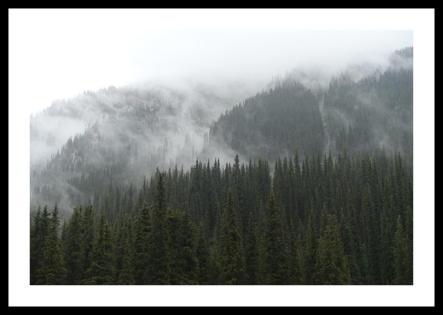 In the misty mountains of the Terskey Alatau Range (Issyk-Kul, June 2018) Framed Art Print