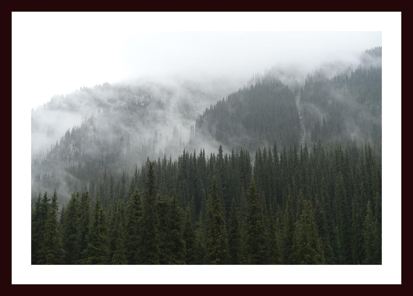 In the misty mountains of the Terskey Alatau Range (Issyk-Kul, June 2018) Framed Art Print