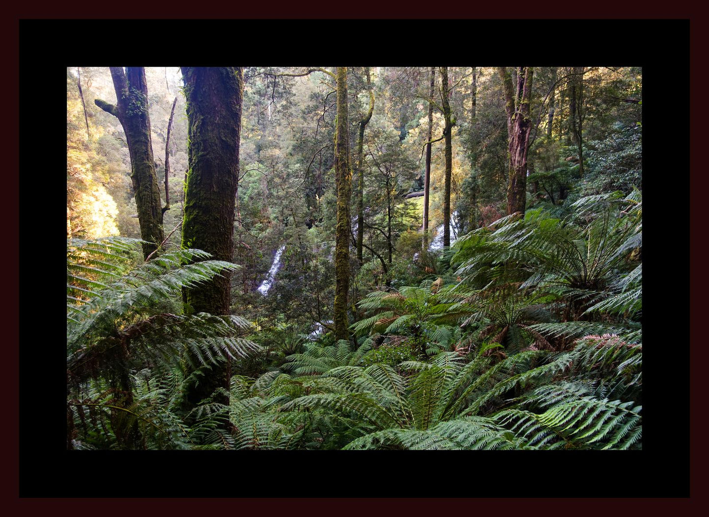 Triplet Falls (Great Otway National Park, May 2022) Framed Art Print