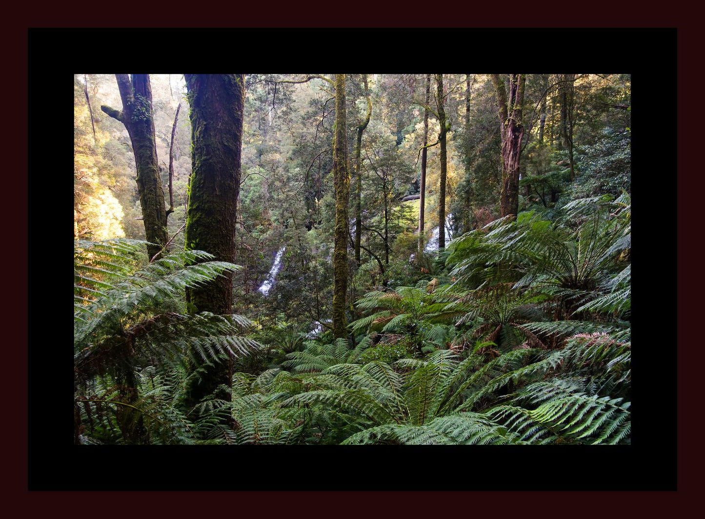 Triplet Falls (Great Otway National Park, May 2022) Framed Art Print