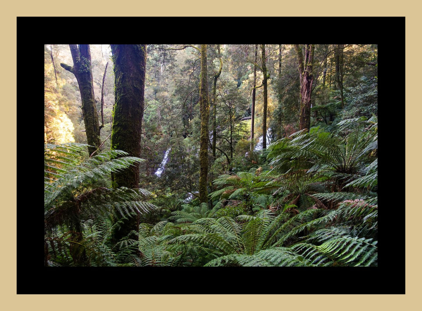 Triplet Falls (Great Otway National Park, May 2022) Framed Art Print