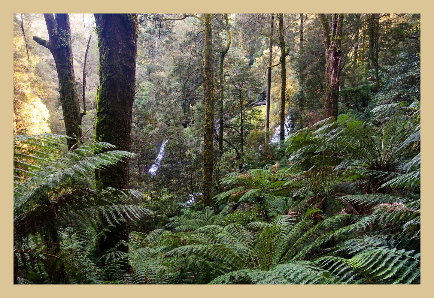 Triplet Falls (Great Otway National Park, May 2022) Framed Art Print