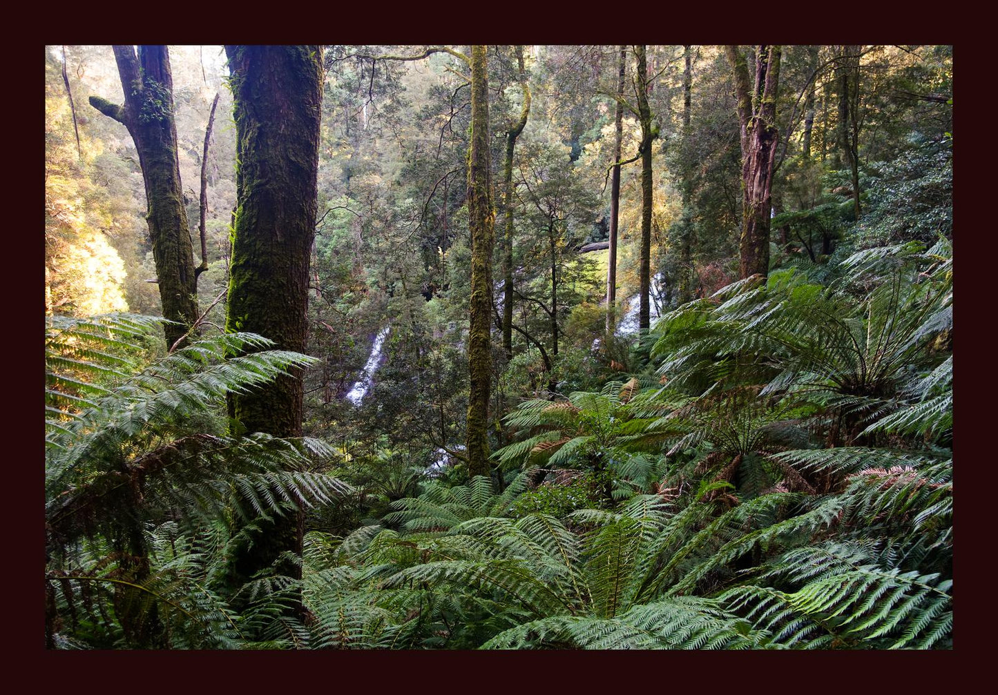 Triplet Falls (Great Otway National Park, May 2022) Framed Art Print