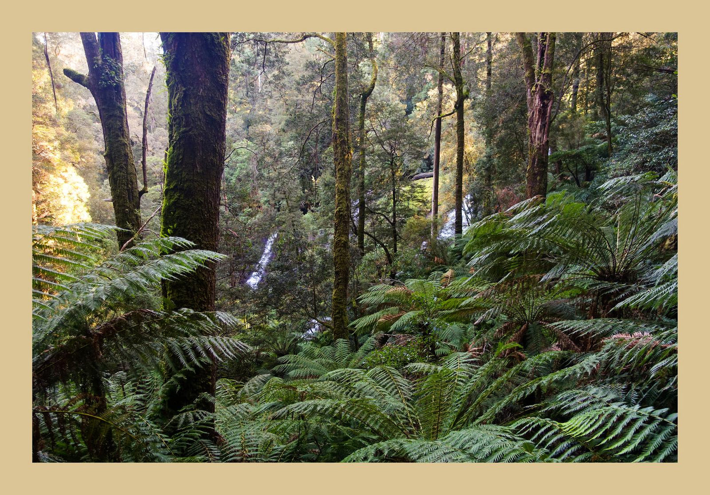 Triplet Falls (Great Otway National Park, May 2022) Framed Art Print