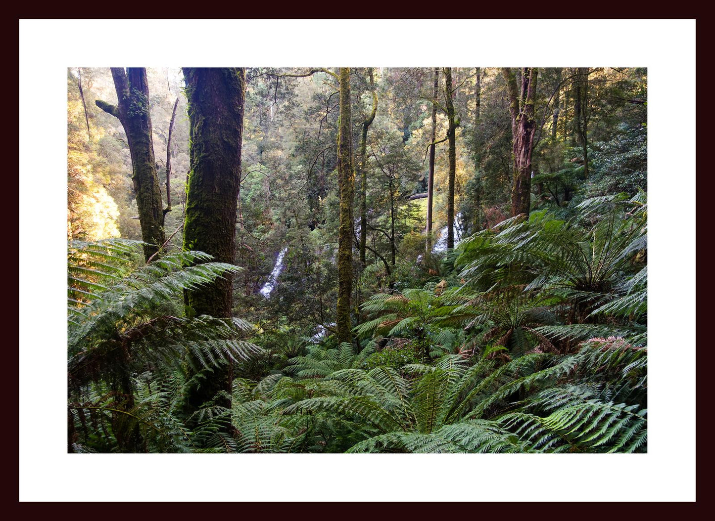 Triplet Falls (Great Otway National Park, May 2022) Framed Art Print