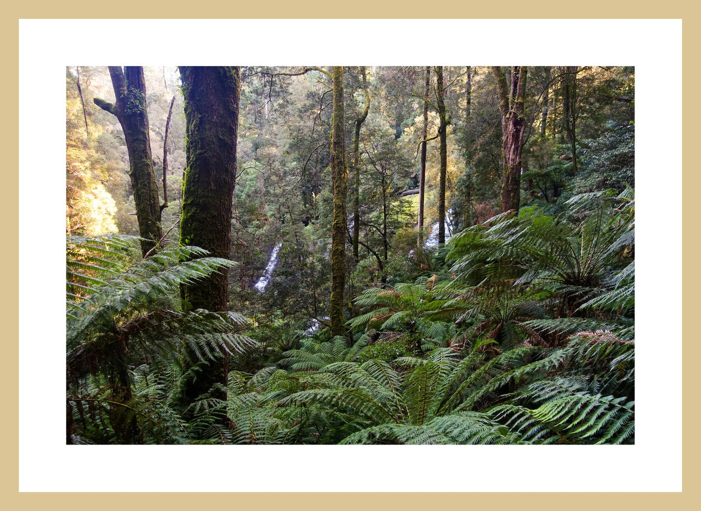 Triplet Falls (Great Otway National Park, May 2022) Framed Art Print