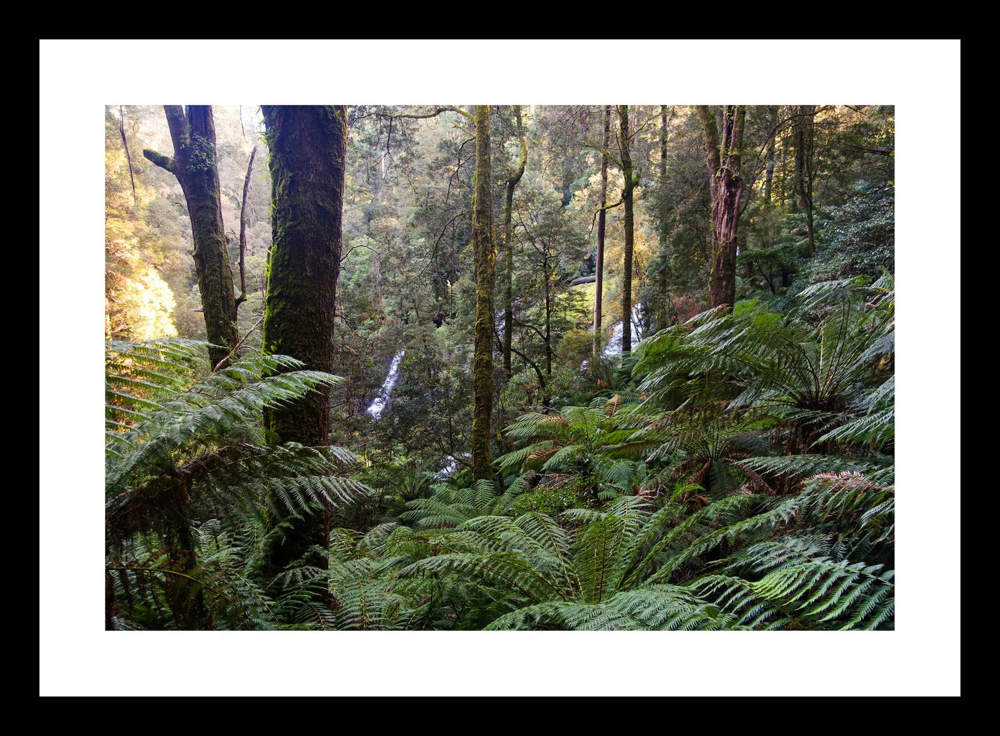 Triplet Falls (Great Otway National Park, May 2022) Framed Art Print