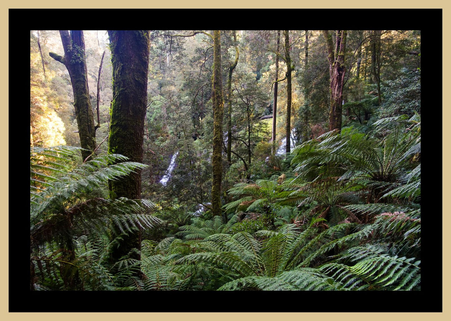 Triplet Falls (Great Otway National Park, May 2022) Framed Art Print