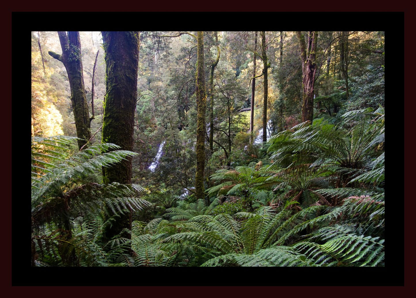 Triplet Falls (Great Otway National Park, May 2022) Framed Art Print