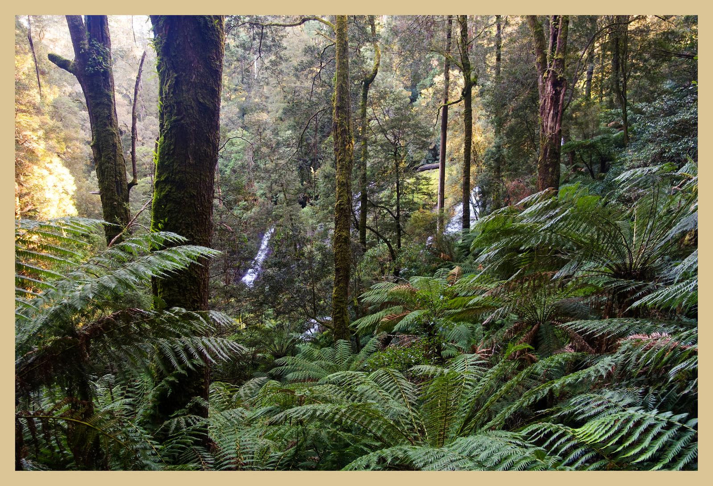 Triplet Falls (Great Otway National Park, May 2022) Framed Art Print