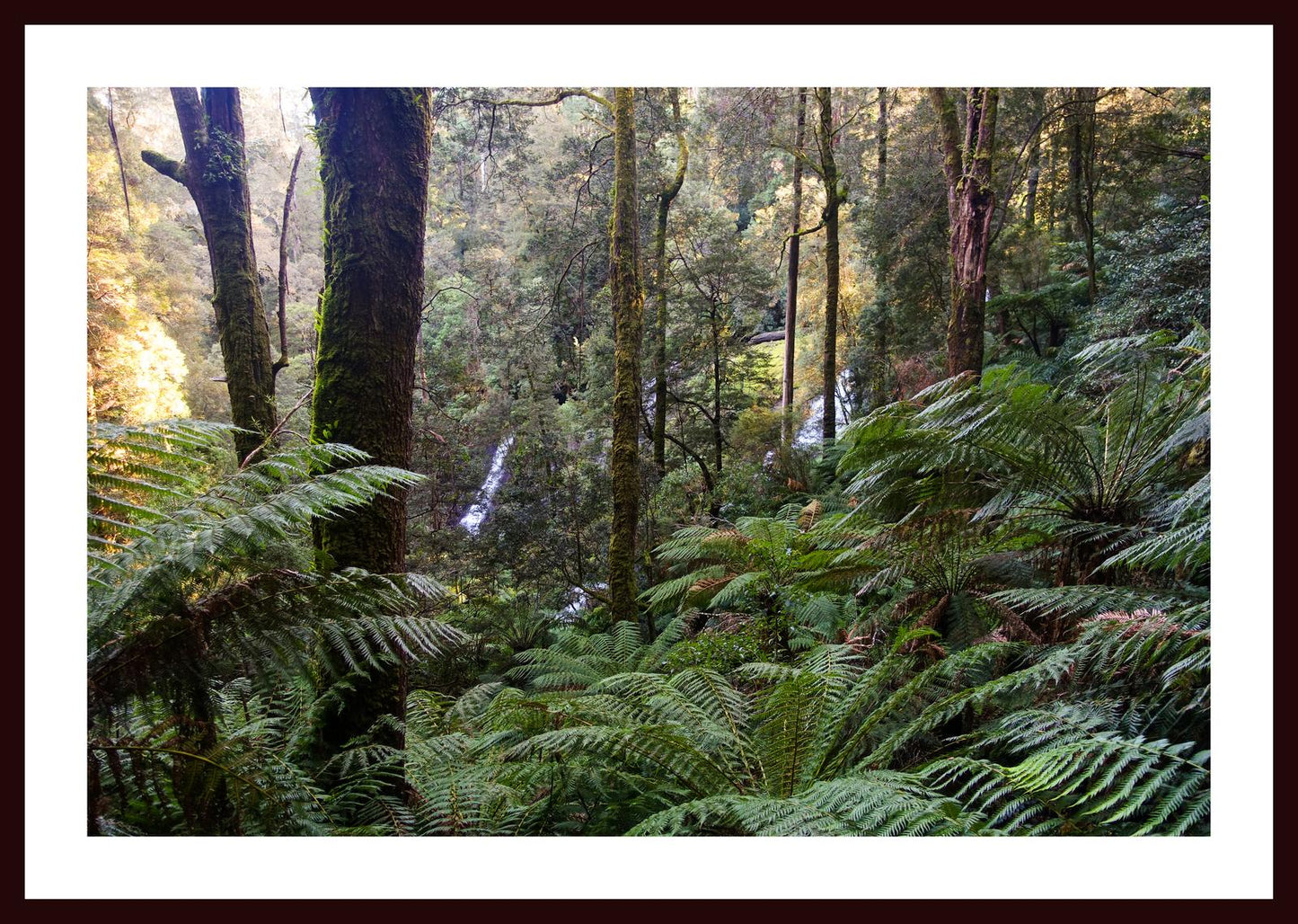 Triplet Falls (Great Otway National Park, May 2022) Framed Art Print