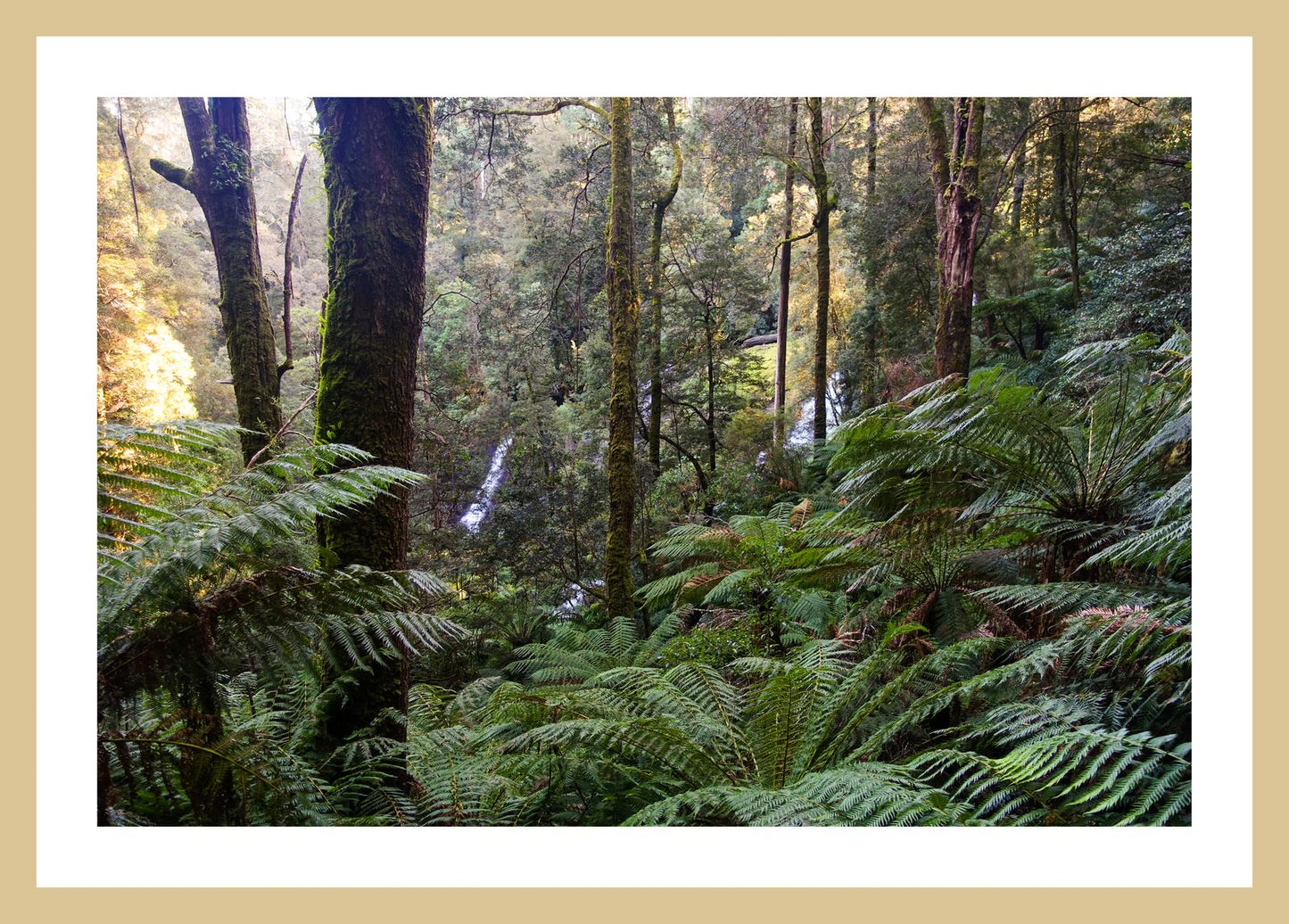 Triplet Falls (Great Otway National Park, May 2022) Framed Art Print