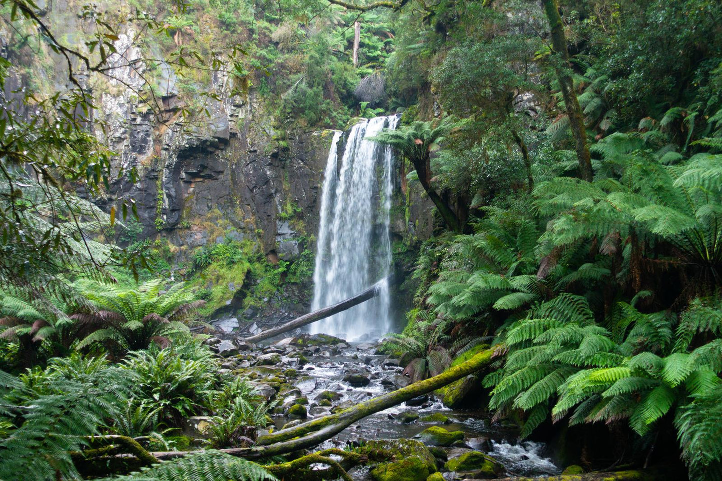 Hopetoun Falls (Great Otway National Park, May 2022) Framed Art Print