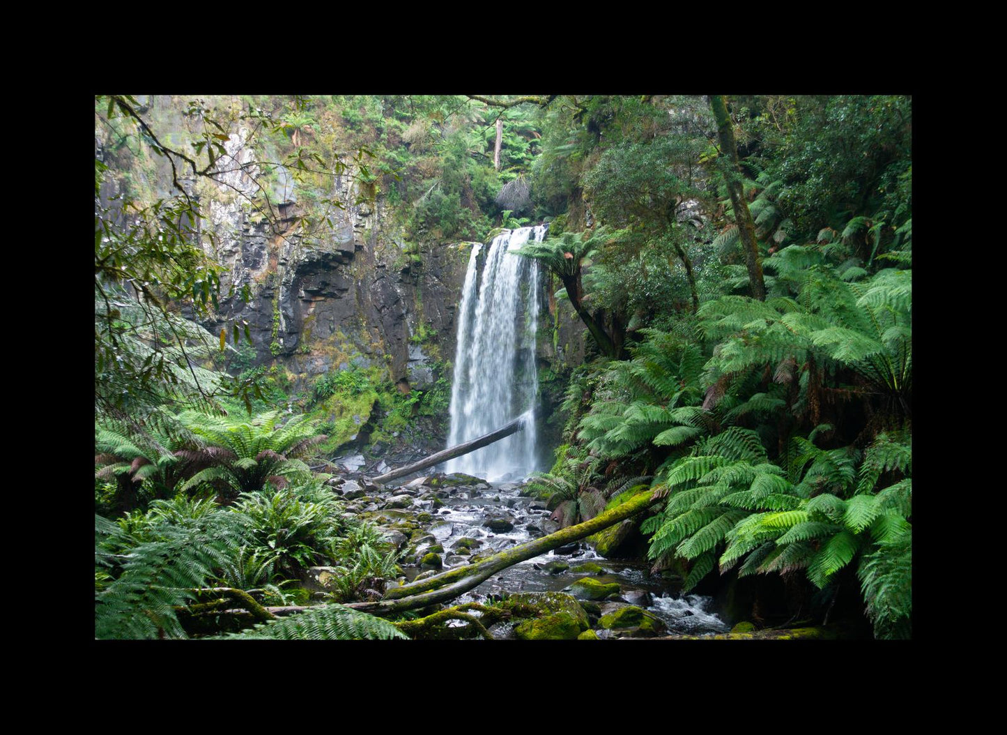 Hopetoun Falls (Great Otway National Park, May 2022) Framed Art Print