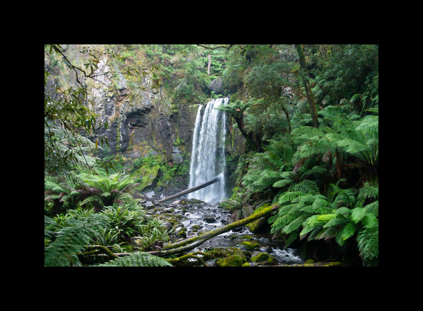 Hopetoun Falls (Great Otway National Park, May 2022) Framed Art Print