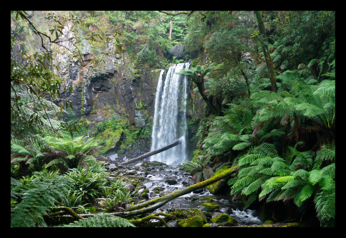 Hopetoun Falls (Great Otway National Park, May 2022) Framed Art Print