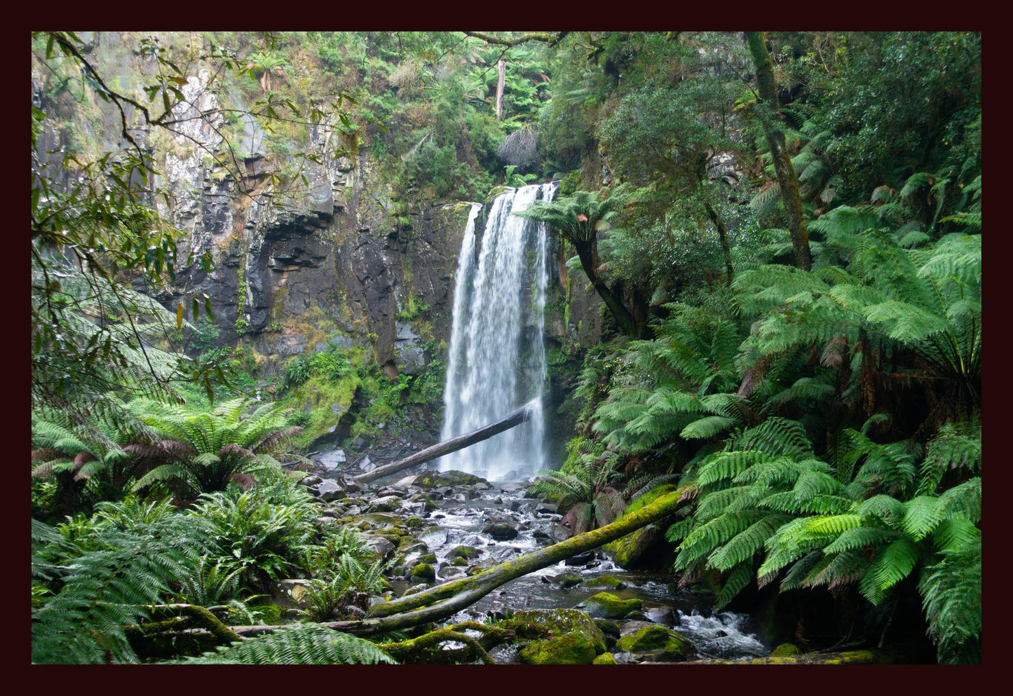 Hopetoun Falls (Great Otway National Park, May 2022) Framed Art Print