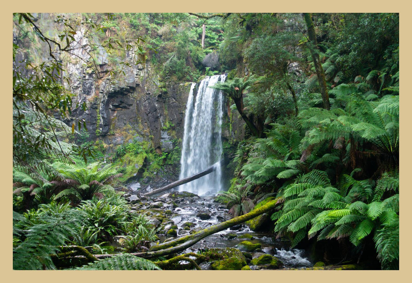 Hopetoun Falls (Great Otway National Park, May 2022) Framed Art Print