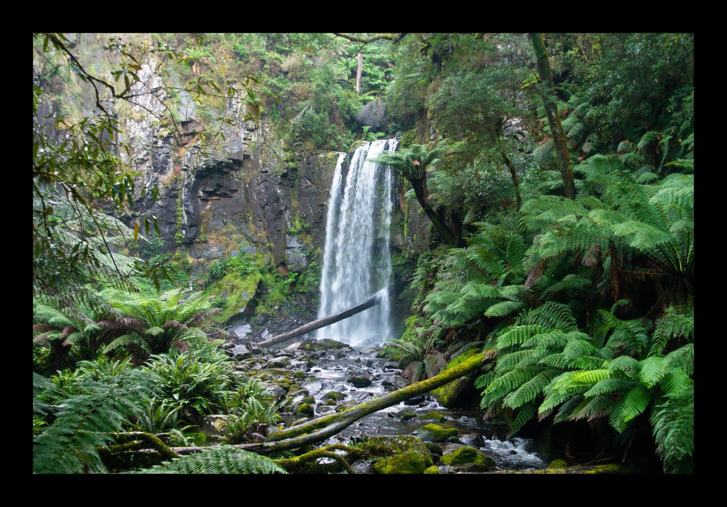 Hopetoun Falls (Great Otway National Park, May 2022) Framed Art Print