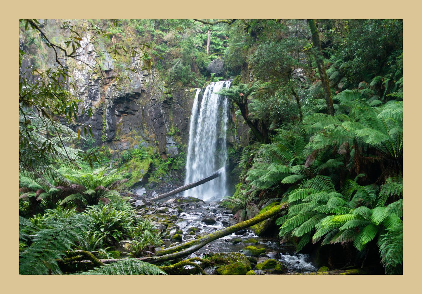 Hopetoun Falls (Great Otway National Park, May 2022) Framed Art Print