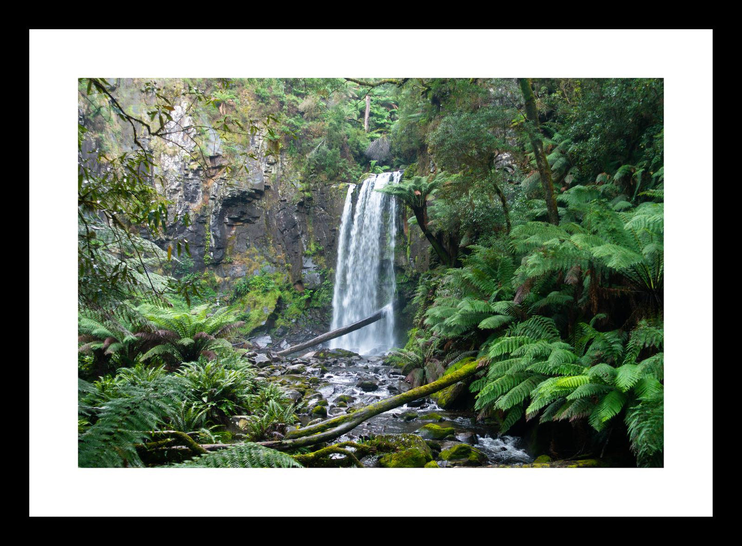 Hopetoun Falls (Great Otway National Park, May 2022) Framed Art Print