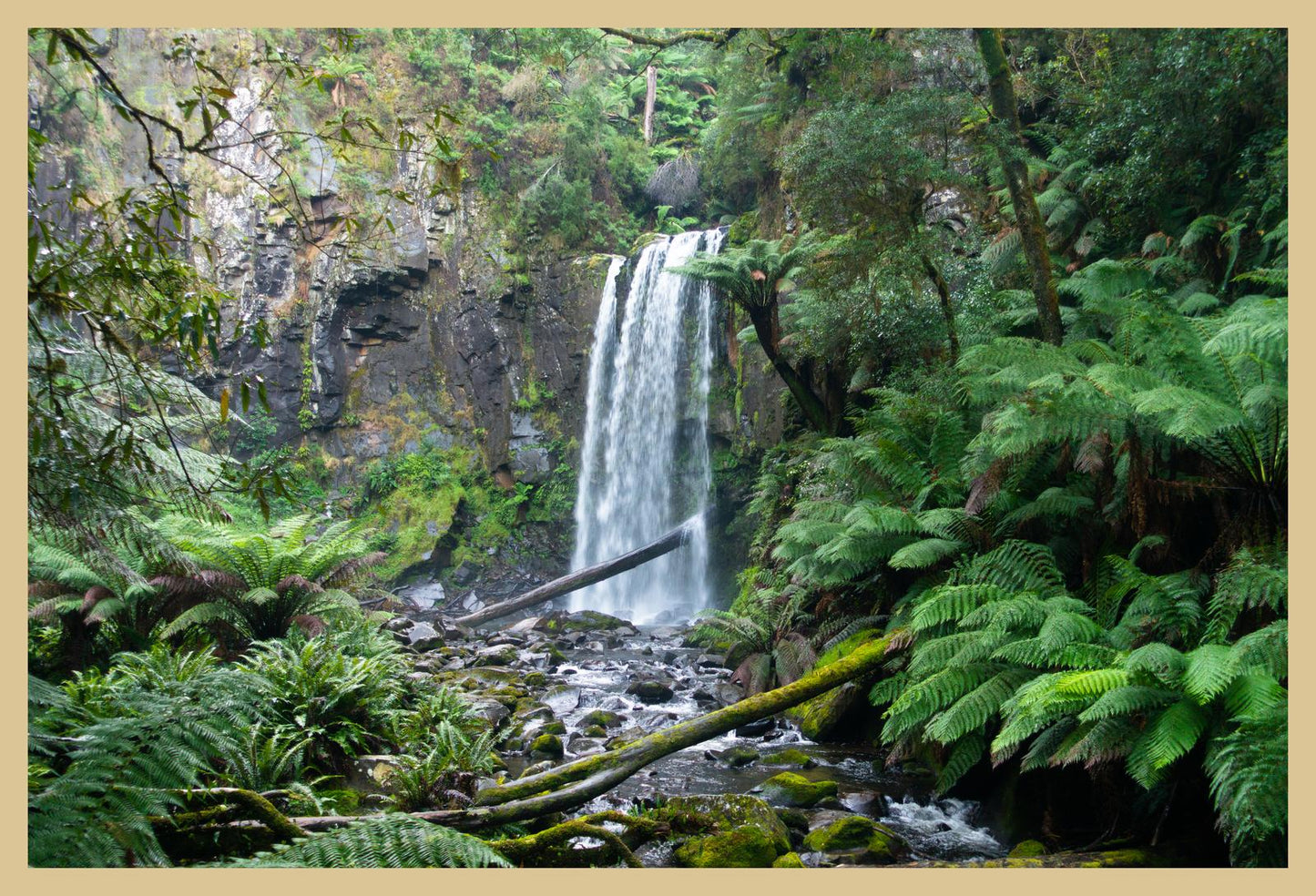 Hopetoun Falls (Great Otway National Park, May 2022) Framed Art Print