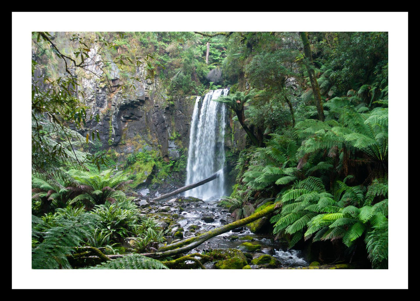 Hopetoun Falls (Great Otway National Park, May 2022) Framed Art Print