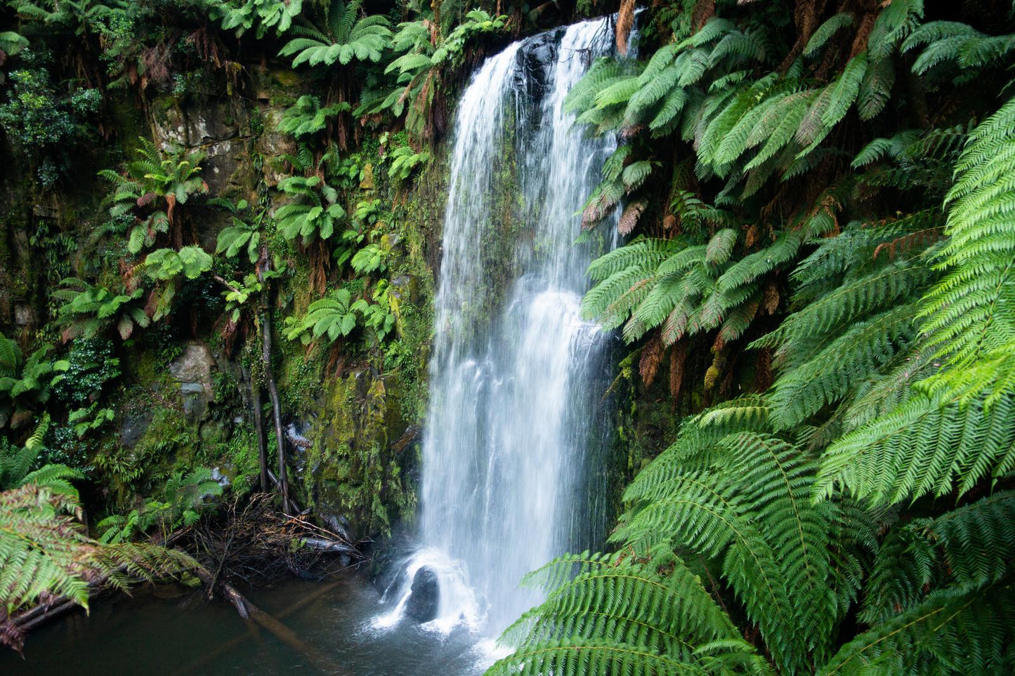 Beauchamp Falls (Great Otway National Park, May 2022) Framed Art Print